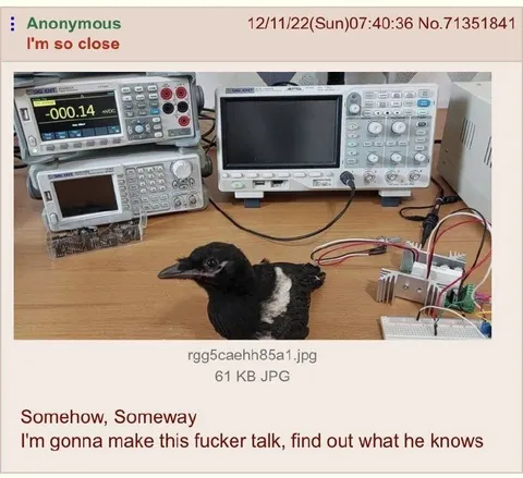 I'm Gonna Make This Fucker Talk