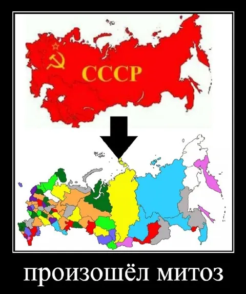 СССР пережил митоз