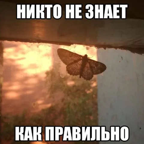 Никто не знает как правильно