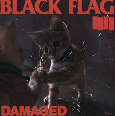 Котёнок из Black Flag