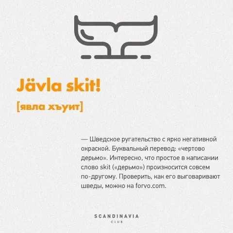 Jävla skit ругательство
