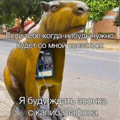 Капибара ждёт звонка