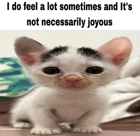 Not Necessarily Joyous
