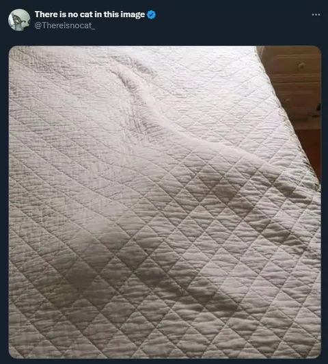 There Is No Cat in This Image