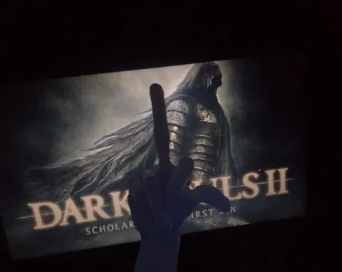 Middle Finger at Dark Souls II