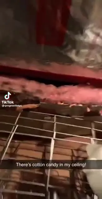 Cotton Candy in the Ceiling