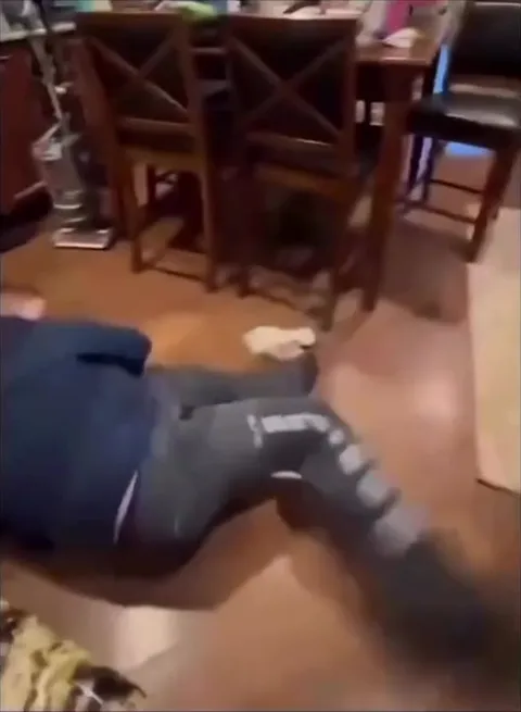 Собака тащит хозяина по полу