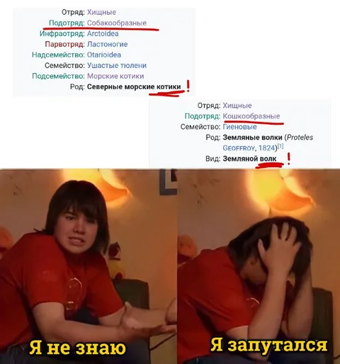Я не знаю, я запутался