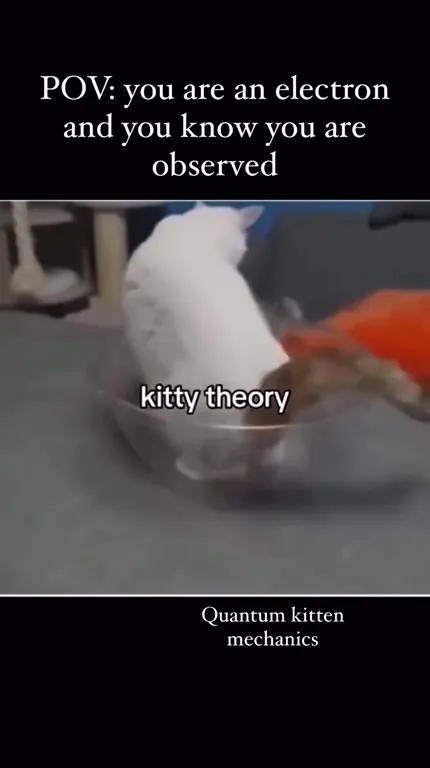 Quantum Kitty Mechanics