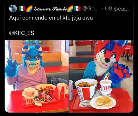 Furries comiendo en KFC