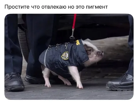 Пигмент отвлекает от разговора
