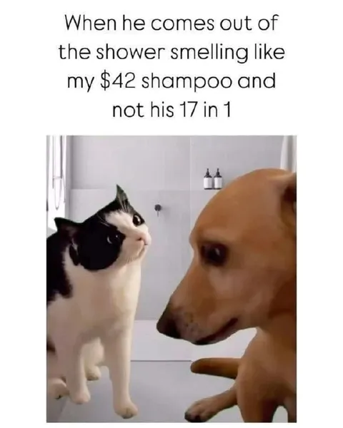 Expensive Shampoo Smell