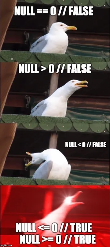 Seagull Explains JavaScript Null