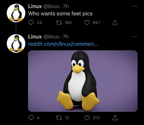Linux Feet Pics