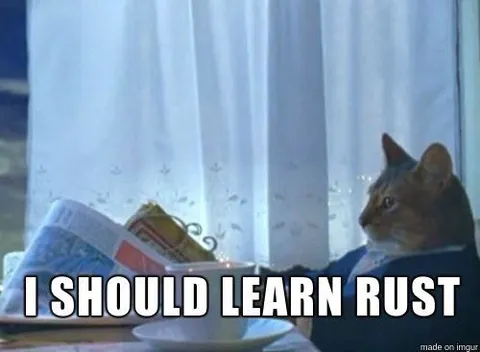 I Should Learn Rust Cat