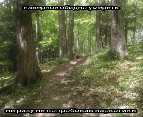 Умереть, не попробовав наркотики