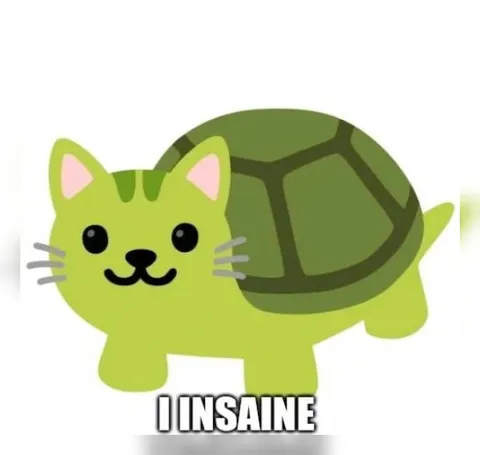 Insane Turtle Cat