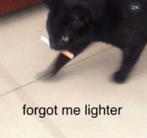 Cat Forgot the Lighter