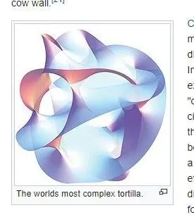 World’s Most Complex Tortilla