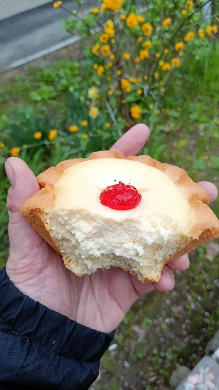Домашний сметанник с вишней