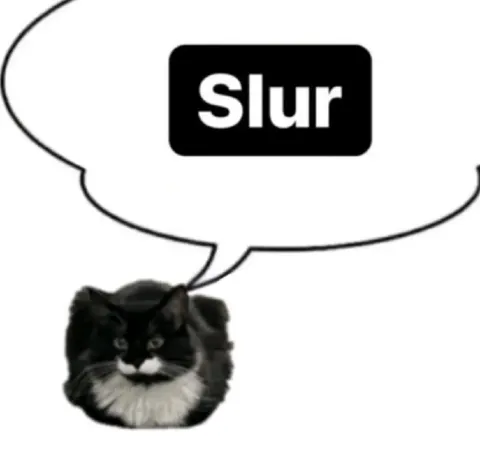 Cat Says Slur