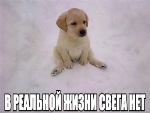 В реальной жизни света нет