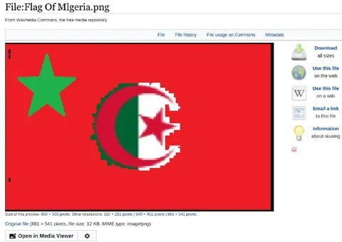 Mlgeria Flag Fail