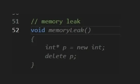 Memory Leak Function