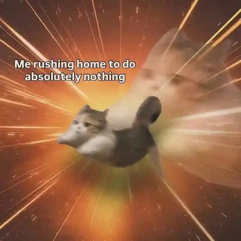 Rushing Home to Do Nothing