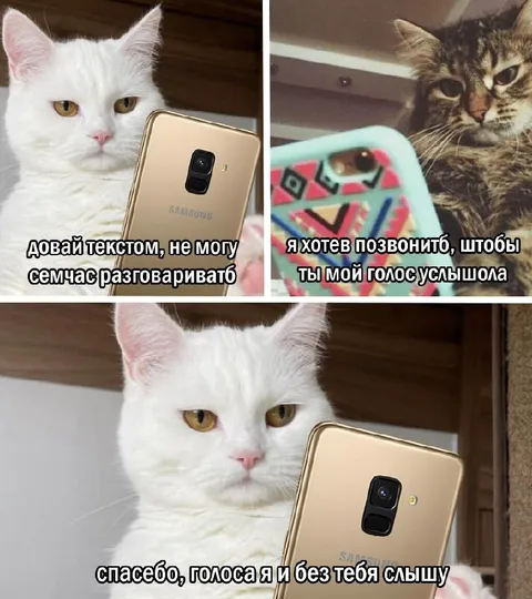 Спасибо, голоса я и без тебя слышу