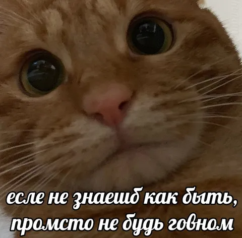 Если не знаешь как быть