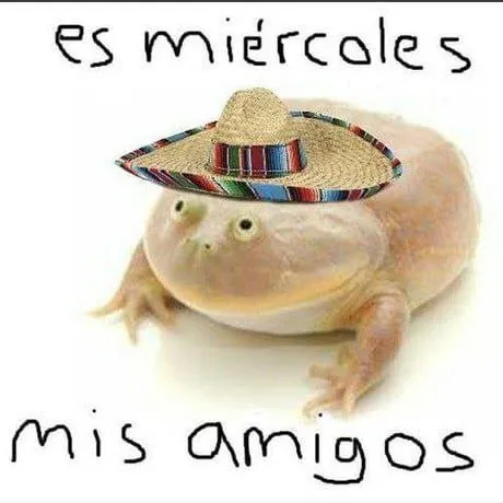 Es miércoles mis amigos