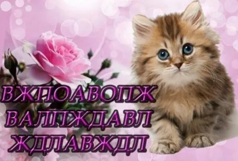 Милый кот с набором букв