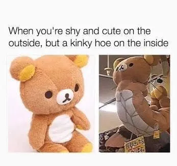 Shy Cute Outside Kinky Inside