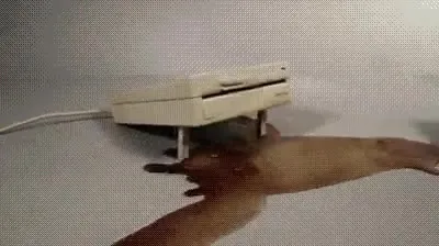 Принтер давит крысу