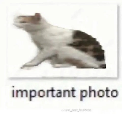 Important Photo of a Strange Animal