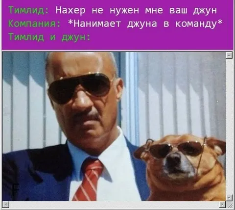 Тимлид и джун в команде