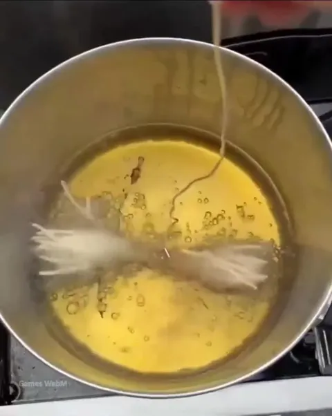 Frying Spaghetti Into an Iron Branch