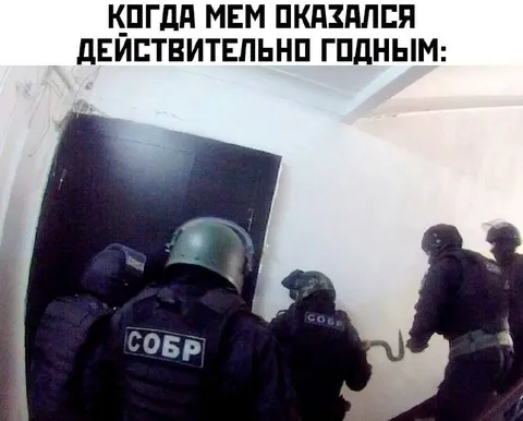 Когда мем оказался годным