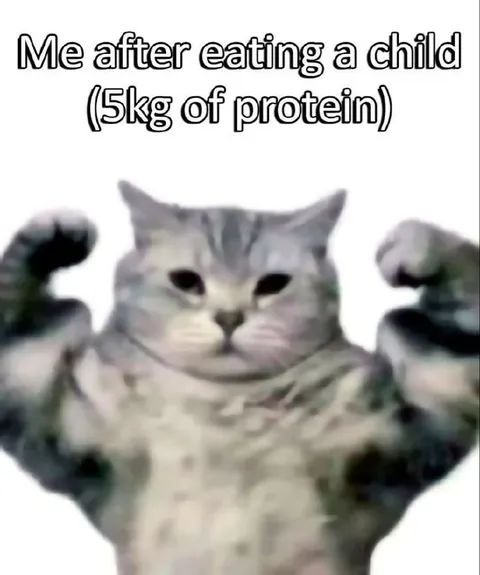 Cat After Eating Five Kilograms of Protein