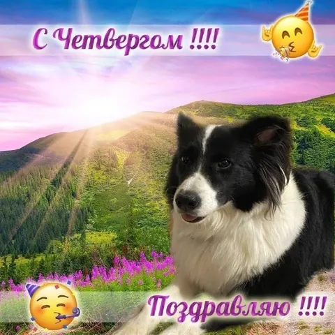 Поздравление с четвергом
