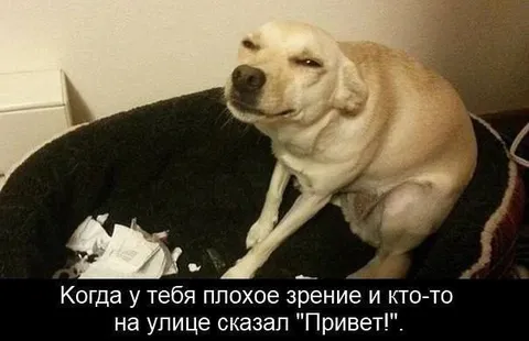 Плохое зрение и привет