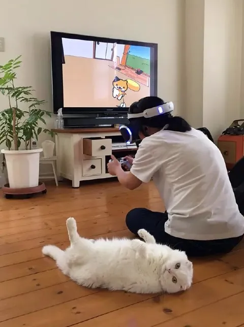 Кот играет в VR