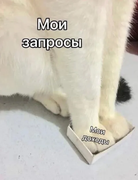 Мои запросы и доходы