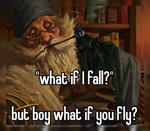 What If I Fall But What If You Fly