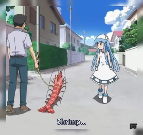 Shrimp...
