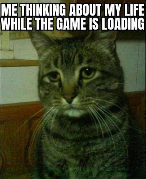 Cat Thinking While Game Loads