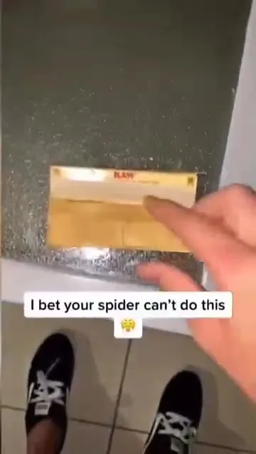 Spider Carries the Cigarette