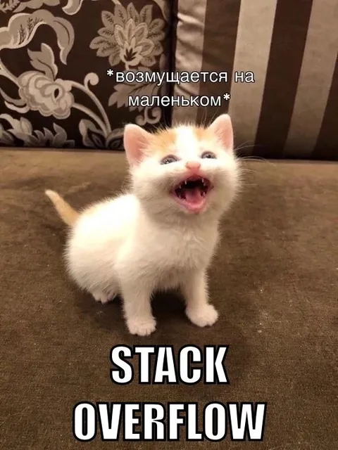 Котёнок возмущается на Stack Overflow