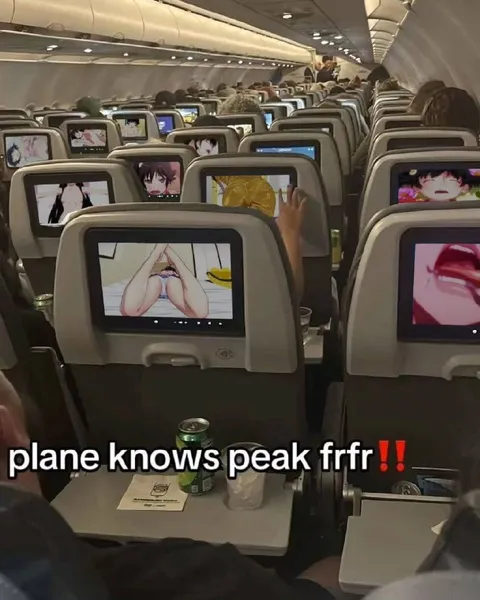 Plane Knows Peak Frfr
